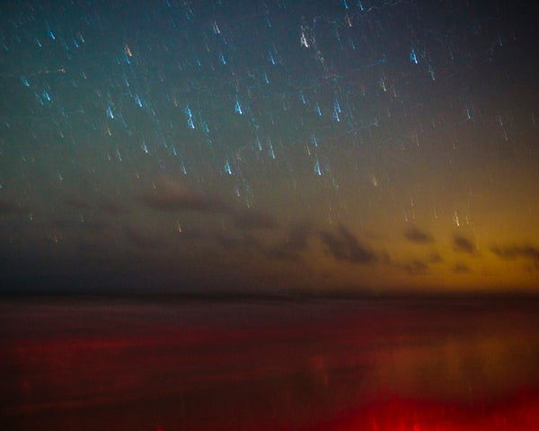 Ossabaw Island Night Sky