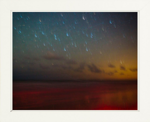 Ossabaw Island Night Sky