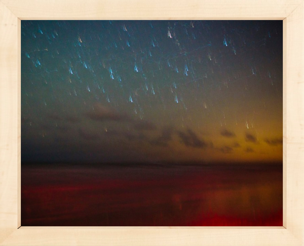 Ossabaw Island Night Sky
