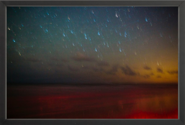 Ossabaw Island Night Sky