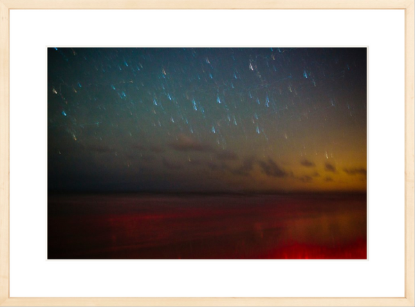 Ossabaw Island Night Sky