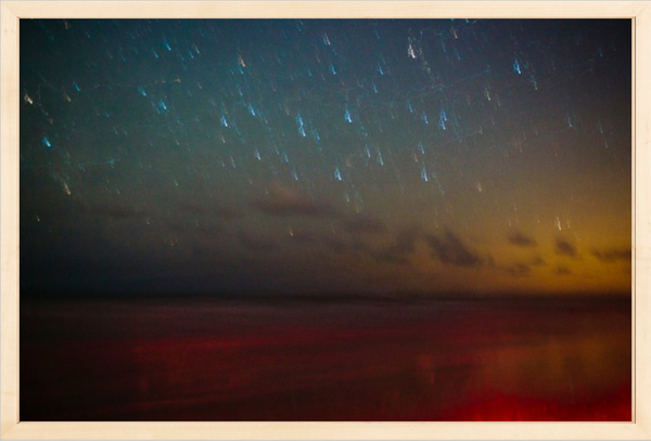 Ossabaw Island Night Sky