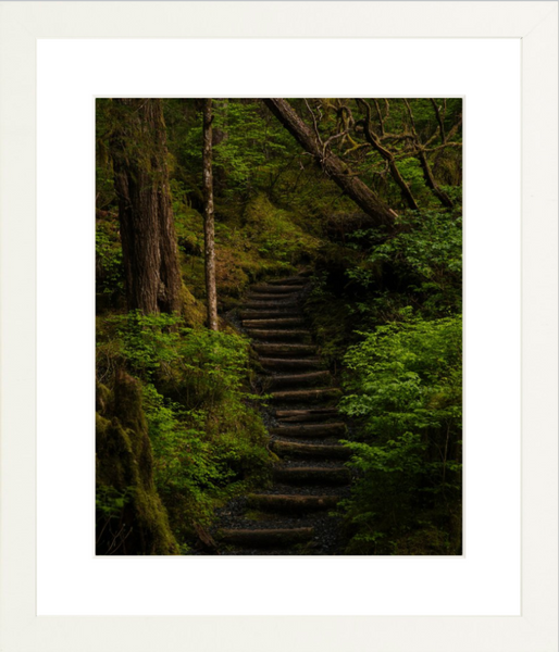 Tongass Stairs