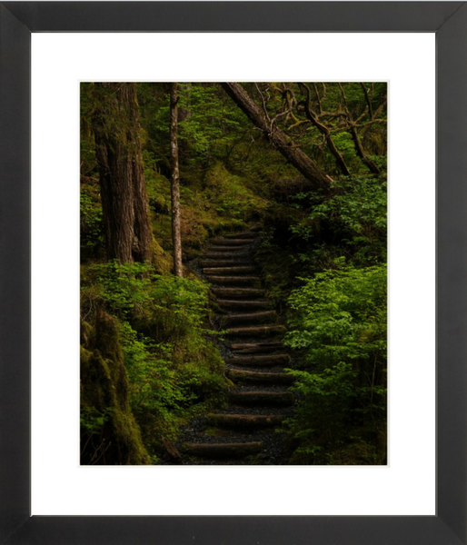 Tongass Stairs